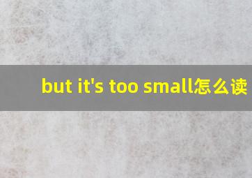 but it's too small怎么读